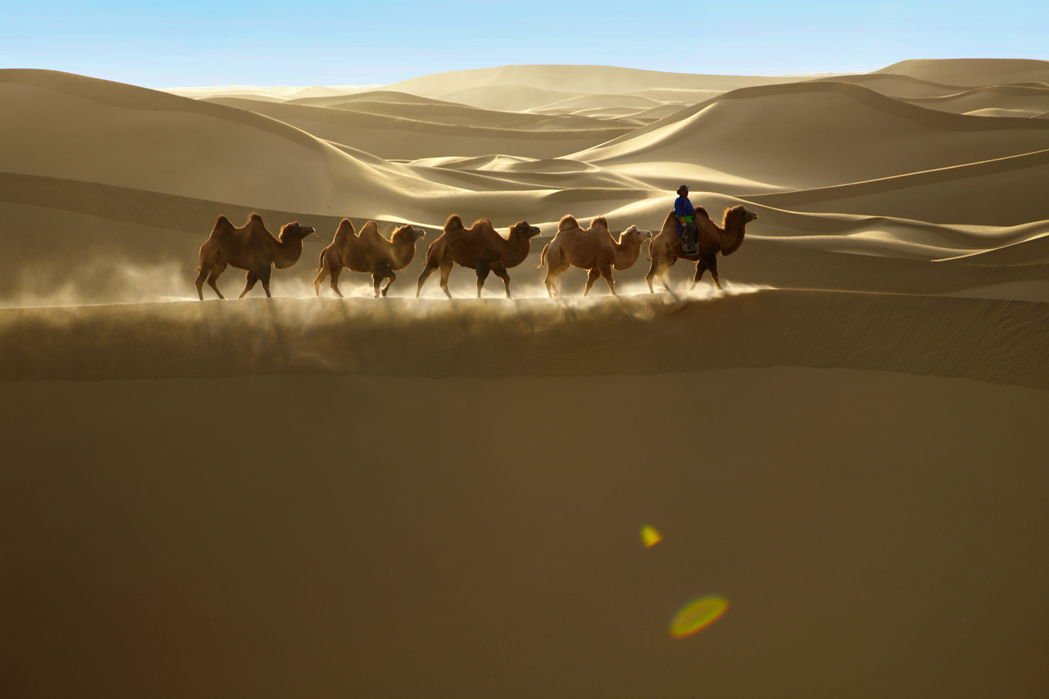 Image result for elsen tasarkhai sand dunes